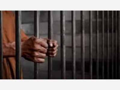 The Business of Incarceration: How U.S. Jails and Prisons Became a Multi-Billion Dollar Industry