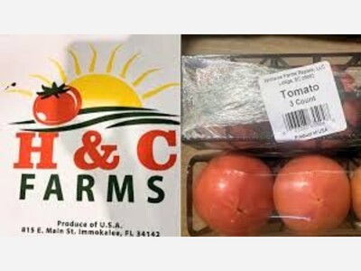 FDA Tomato Recall Escalated: Georgia Consumers Face Deadly Salmonella Risk