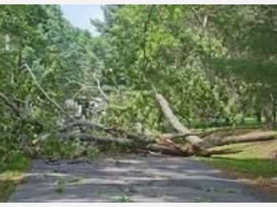 Fierce Storms Leave Trail of Destruction Across Walton County and North Georgia