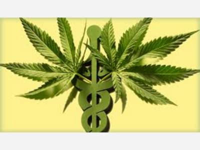 Medical Marijuana in Cancer Treatment: Symptom Relief vs. Carcinogen Risk