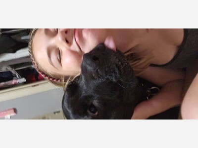 The Unstoppable Optimism of the  Good Boy  : Editorial Good Night To All